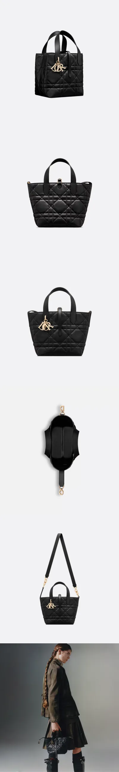Dior Toujours 스몰 버티컬 토트백 상세 1