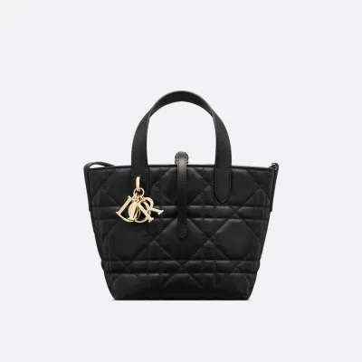 Dior Toujours 스몰 버티컬 토트백